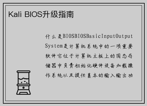 Kali BIOS升级指南
